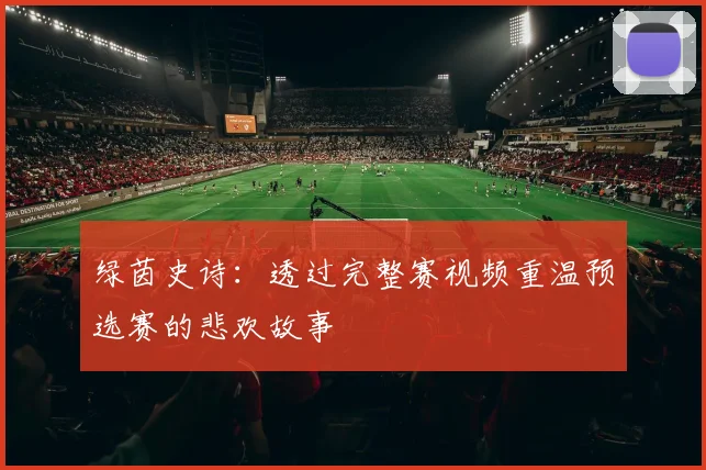 绿茵史诗：透过完整赛视频重温预选赛的悲欢故事