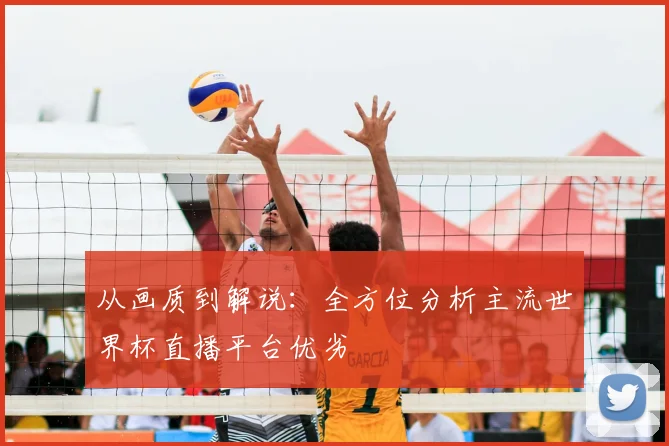 从画质到解说:全方位分析主流世界杯直播平台优劣