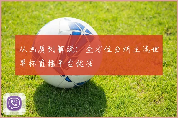 从画质到解说:全方位分析主流世界杯直播平台优劣