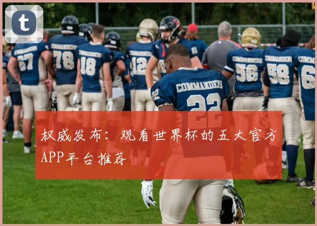 权威发布:观看世界杯的五大官方APP平台推荐