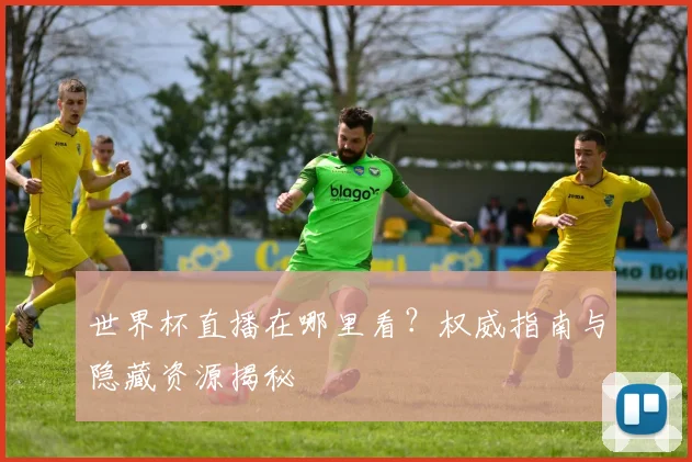 世界杯直播在哪里看？权威指南与隐藏资源揭秘