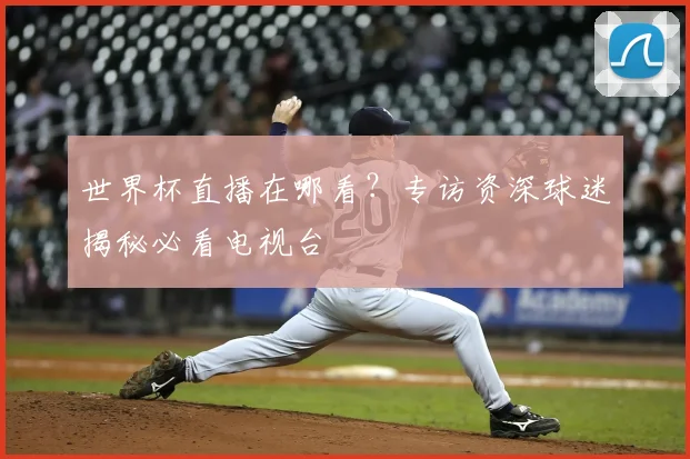 世界杯直播在哪看?专访资深球迷揭秘必看电视台