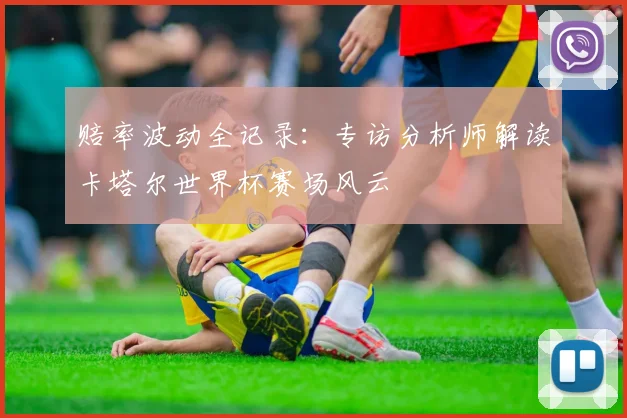 赔率波动全记录：专访分析师解读卡塔尔世界杯赛场风云