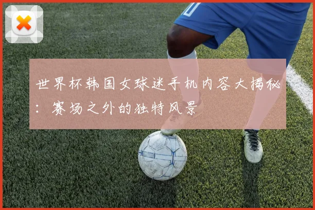 世界杯韩国女球迷手机内容大揭秘：赛场之外的独特风景